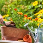 Permalink to Garden Pest Control 21832348s_231977_o.jpg