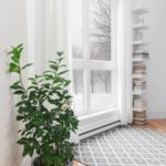 Permalink to Tips for Keeping Indoor Plants Alive