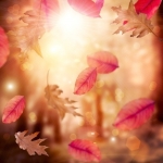 Permalink to How to preserve autumn leaves as keepsakes or for your DIY projects