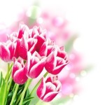 Permalink to Happy Mother’s Day