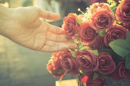 Keep Flower Arrangements Fresh Longer