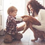 Permalink to Tips for Choosing Pet-Friendly Floors